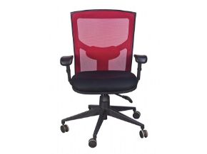 Picture for category גלריה